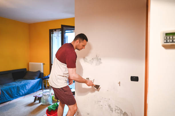 Best Commercial Mold Removal  in North Gates, NY